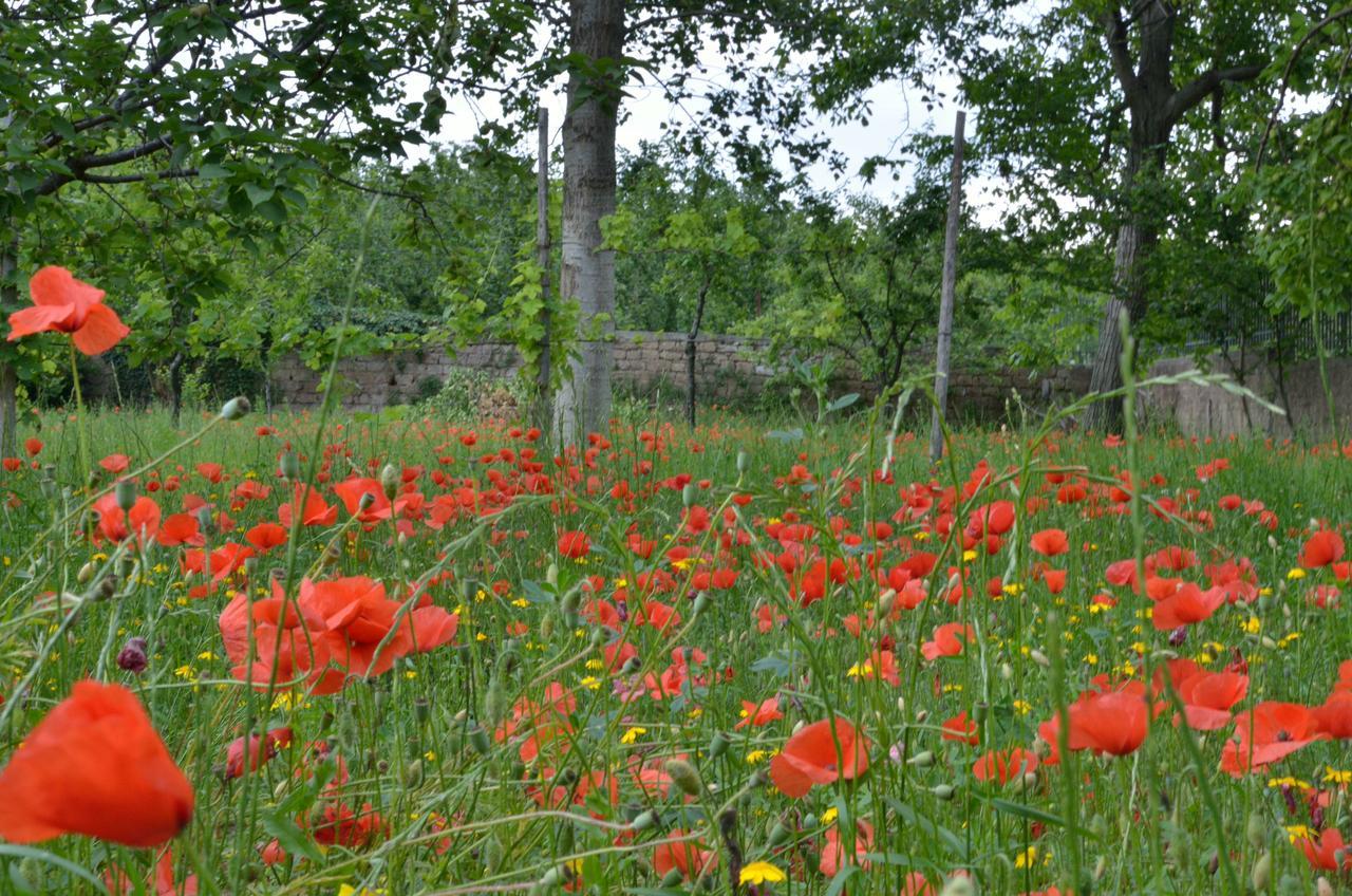 Il Giardino Del Sole Bed & Breakfast Roccarainola Exterior photo
