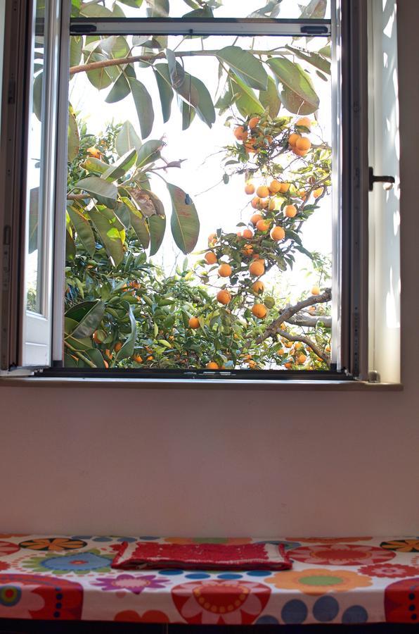Il Giardino Del Sole Bed & Breakfast Roccarainola Exterior photo
